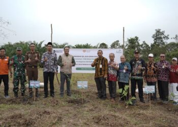 PLN Tanam 1.000 Pohon Aren: Wujud Nyata Semangat Kemerdekaan untuk Udara Bersih dan Kemandirian Ekonomi Warga
