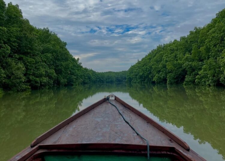 Ekowisata Balikpapan, Daya Tarik Baru yang Mendunia