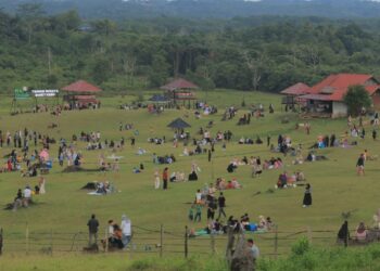 Disporapar Lihat Potensi Besar Bukit Kebo Jadi Destinasi Glamping dan Eduwisata Alam