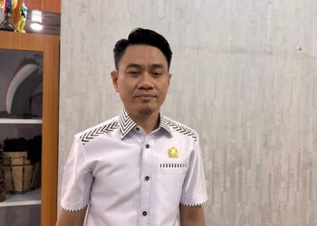 Pohon Rawan di Balikpapan Timur, Sofyan Jufri Dorong Tindakan Preventif DLH