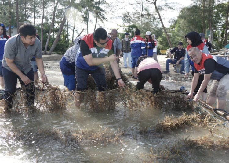 Pertamina Patra Niaga Hidupkan “Bubuhan Lautera”, Sinergi Hijau untuk Laut Lestari dan Ekonomi Pesisir Mandiri