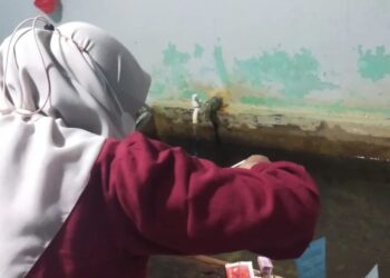 Penyelidikan Epidemiologi (PE) Puskesmas Klandasan Ilir