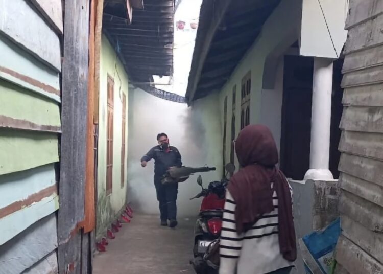 Fogging Bukan Solusi Utama, Ini Cara Efektif Cegah DBD di Lingkungan Rumah