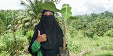 Masyarakat Lokal Sepaku Dilibatkan dalam Program Pisang Kultur Jaringan untuk Ketahanan Pangan IKN