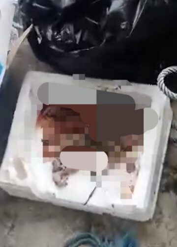 Janin Bayi Laki-laki Ditemukan Mengapung di Aliran Sungai Ampal