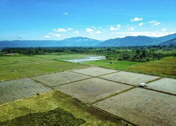Sawah Terancam Hilang, Pemerintah Berlakukan Pengamanan Tata Ruang