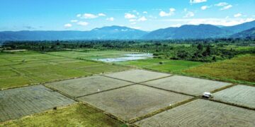 Sawah Terancam Hilang, Pemerintah Berlakukan Pengamanan Tata Ruang