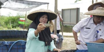 Panen Papuyuh Perdana di Karang Joang, CSR Pertamina Perkuat Pangan Lokal Balikpapan