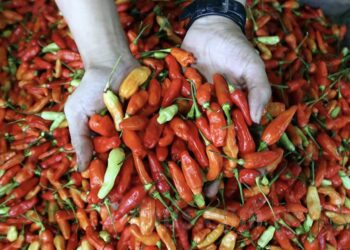 Tekanan Harga Naik Jelang Ramadan, Inflasi Balikpapan dan PPU Terkerek pada Februari 2026