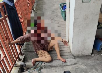 Cekcok Bertetangga di Batu Ampar Berujung Penikaman, Seorang IRT Diamankan Polisi