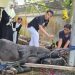Ketua DPRD Balikpapan Kurban Lima Sapi, Daging Dibagikan untuk Warga Kurang Mampu
