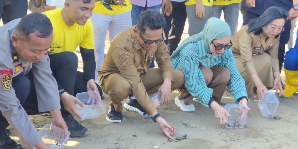 Rahmad Mas’ud Apresiasi JMSI Balikpapan, Pelepasan 80 Tukik di Pantai DEB Jadi Simbol Penyelamatan Ekosistem Laut