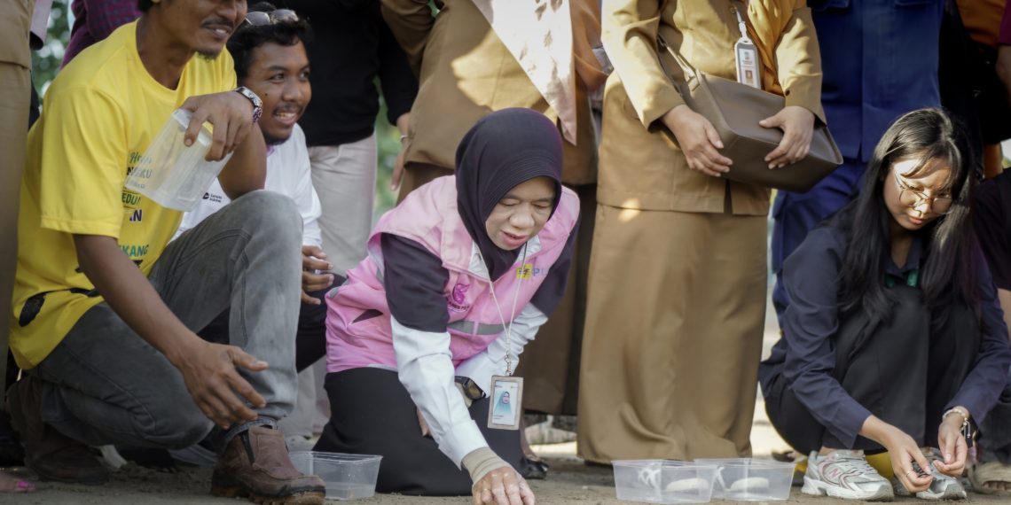 Dukung Kelestarian Ekosistem Pesisir, PLN UID Kaltimra Bersama JMSI dan Forkopimda Balikpapan Lepas 80 Tukik Penyu Lekang