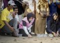 Dukung Kelestarian Ekosistem Pesisir, PLN UID Kaltimra Bersama JMSI dan Forkopimda Balikpapan Lepas 80 Tukik Penyu Lekang