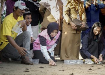 Dukung Kelestarian Ekosistem Pesisir, PLN UID Kaltimra Bersama JMSI dan Forkopimda Balikpapan Lepas 80 Tukik Penyu Lekang