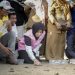 Dukung Kelestarian Ekosistem Pesisir, PLN UID Kaltimra Bersama JMSI dan Forkopimda Balikpapan Lepas 80 Tukik Penyu Lekang