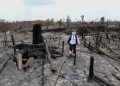 Tahura Bukit Soeharto Terbakar, Otorita IKN Temukan Jejak Pembukaan Lahan