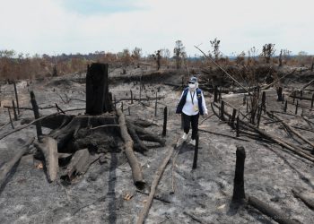 Tahura Bukit Soeharto Terbakar, Otorita IKN Temukan Jejak Pembukaan Lahan