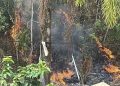 Kebakaran Lahan Nyaris di 6 Titik Sehari, BPBD Balikpapan Kewalahan Tembus Akses Hutan