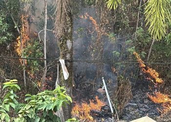Kebakaran Lahan Nyaris di 6 Titik Sehari, BPBD Balikpapan Kewalahan Tembus Akses Hutan
